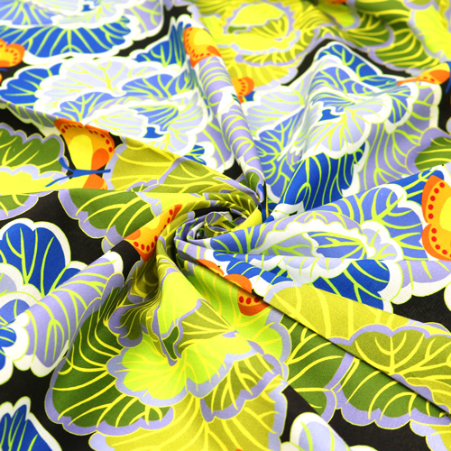 Repollo Cultivados En Casa En El Huerto 2