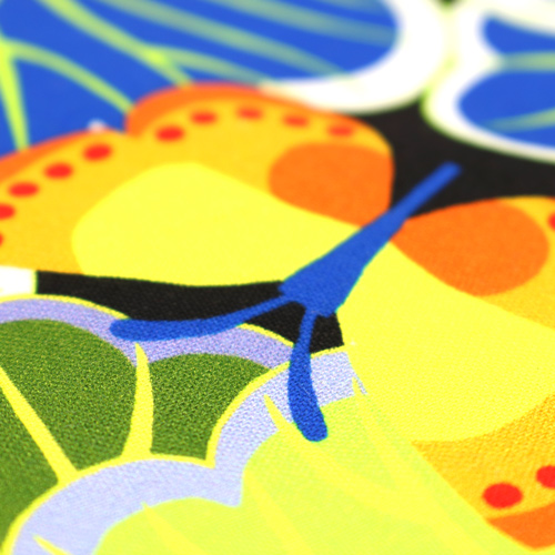 Repollo Cultivados En Casa En El Huerto 5