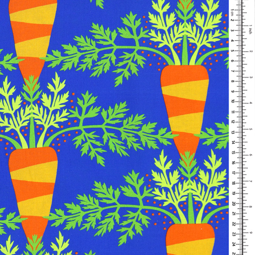 Vegetable Patch Home Grown Carrots 1