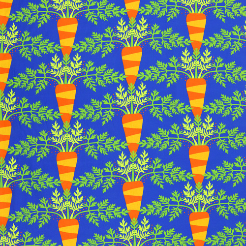 Vegetable Patch Home Grown Carrots 4