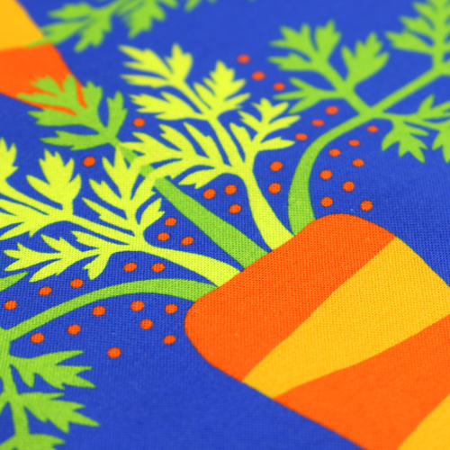 Vegetable Patch Home Grown Carrots 5