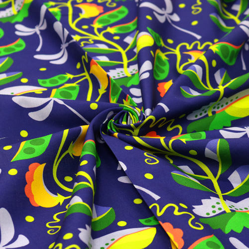 Piselli Coltivati In Casa Nell'Orto 2