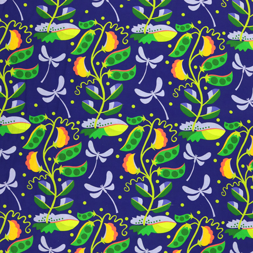 Piselli Coltivati In Casa Nell'Orto 4