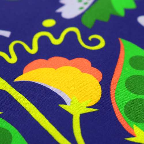 Piselli Coltivati In Casa Nell'Orto 5