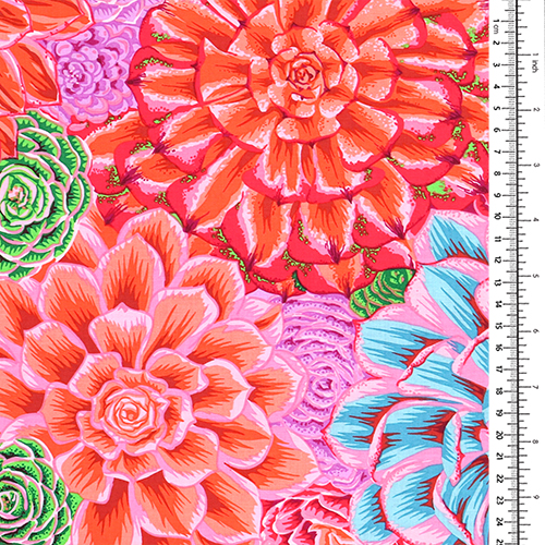 Collectif Kaffe Fassett Joubarbes 1