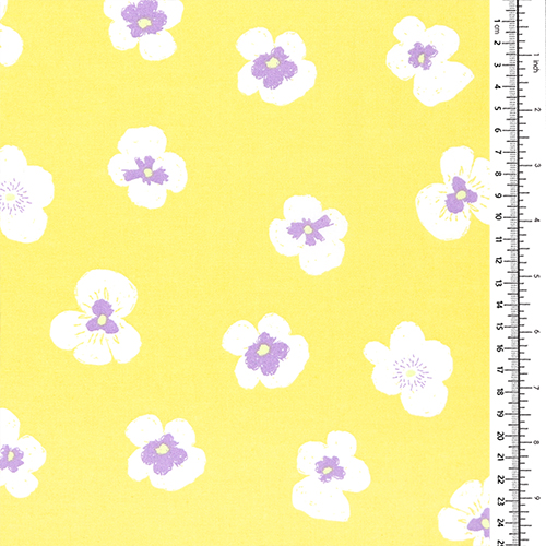Caduta di Fiori Viola di Viole del Pensiero 1