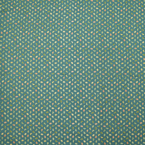 Tiny Patterned Shell Turtles 4
