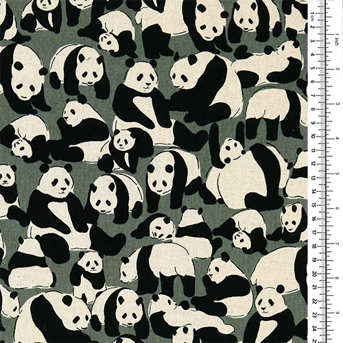 Pandas Joueurs 1