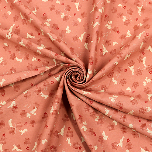 Coniglio Usagi Saltellante Fiore di Prugno 2