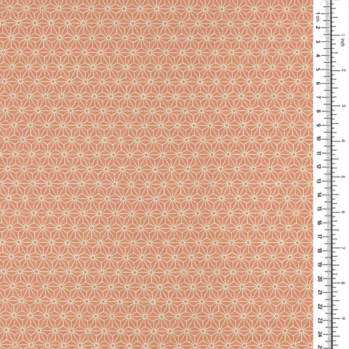 Asanoha Étoile À Six Branches Motif Géométrique Simple 1
