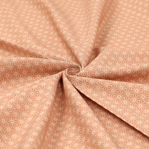Asanoha Étoile À Six Branches Motif Géométrique Simple 2