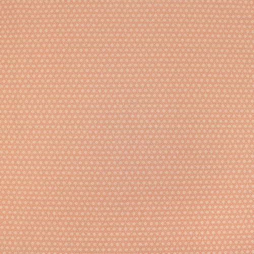 Asanoha Étoile À Six Branches Motif Géométrique Simple 4