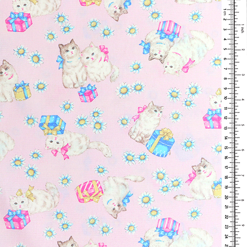 Pretty Cats Presents Bows and Daisies 1