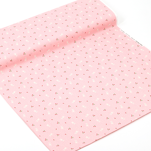 Tiny cute Bunny Strawberries Polka Dot 3