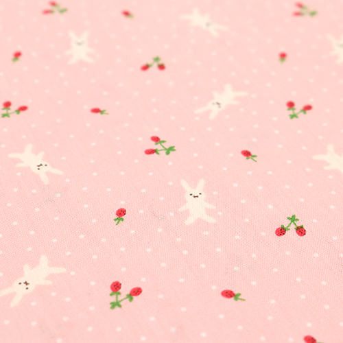 Tiny cute Bunny Strawberries Polka Dot 5