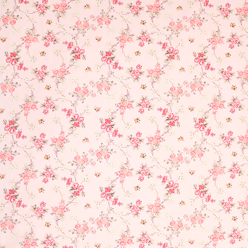 Rose Antiche Belli Volti Di Gatti 4