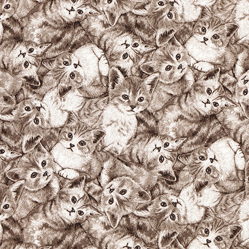 Kätzchen im Vintage-Sepia Montage