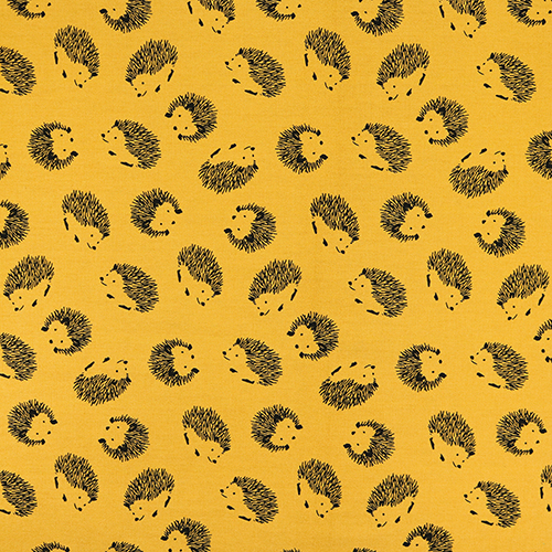 Erizos Ilustrados Simplificados