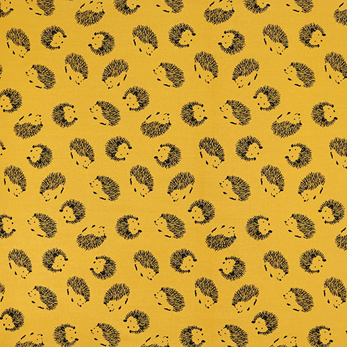 Erizos Ilustrados Simplificados 4
