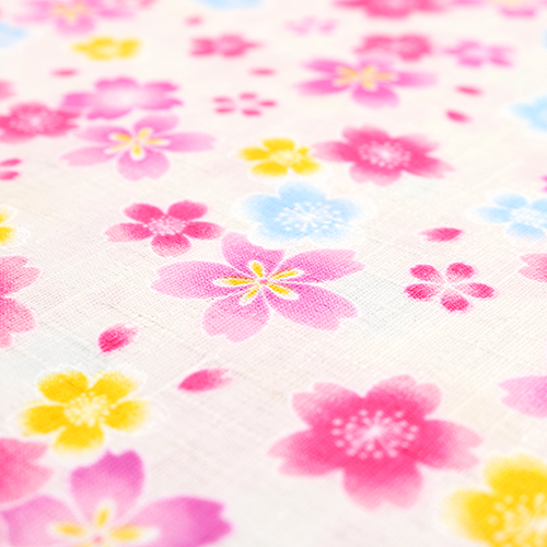 Pétales De Sakura Éparpillés Jolis Et Colorés 5