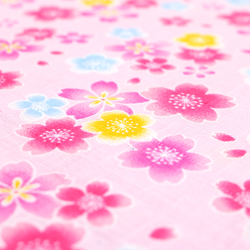 Verstreute Hübsche Bunte Sakura Blüte 5
