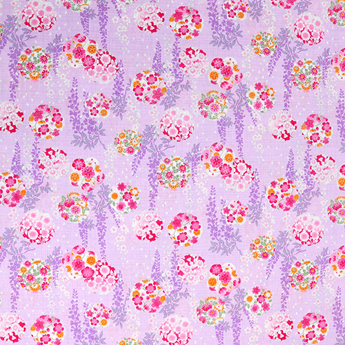 Blumenkreise Blütenblätter Japanische Wisteria 4