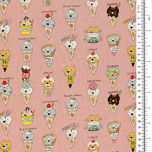 Cornets De Glace Chats Sundae 1