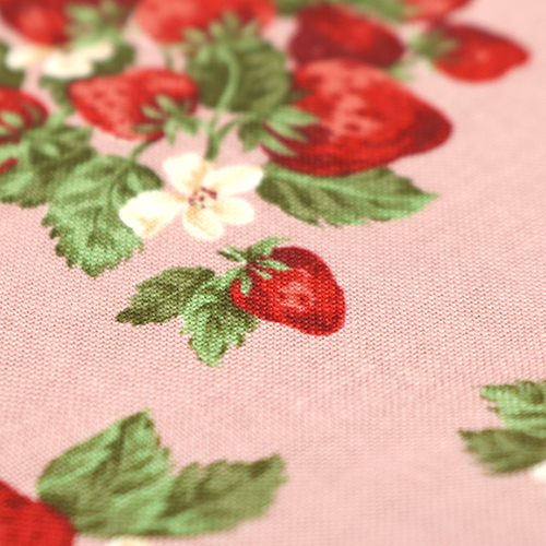 Frische Sommer-Erdbeerstruchen-Schleifen 5