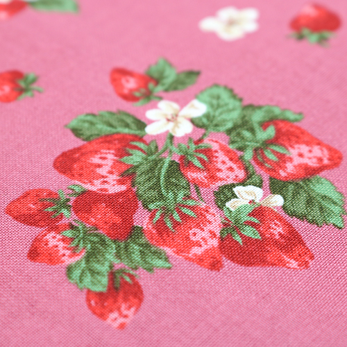 Frische Sommer-Erdbeer-Krbchen-Schleifen 5