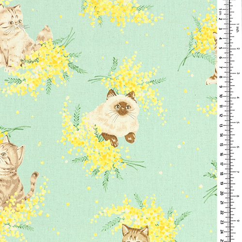 Gattino Tigrato Rametti Di Fiori Gialli 1