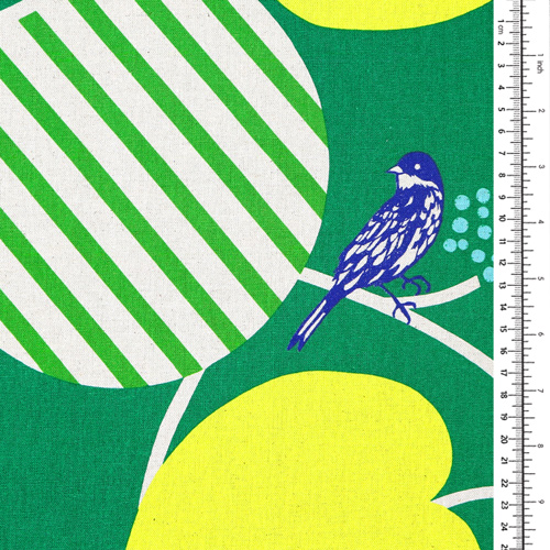 Pepe Pomme Cercle Oiseau Audacieux 1