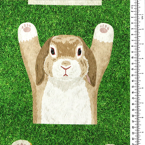 Animales Delante Y Detrás Panel De Césped 1