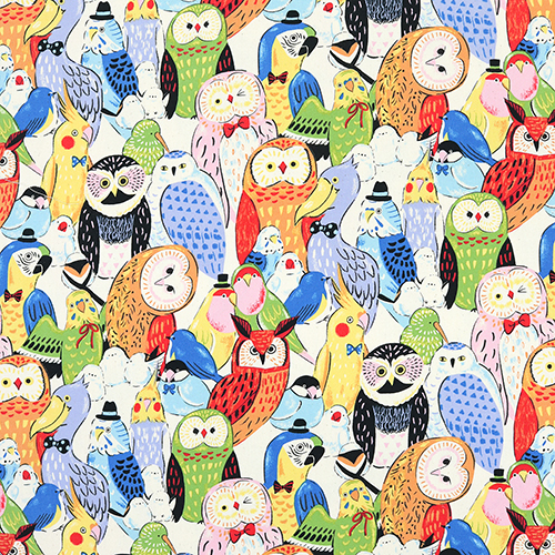 Cheerful Bright Quirky Colourful Birds