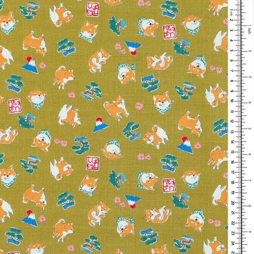 Mameshiba Journ�e D’Excursion Bonsa� Arbre Mont Fuji 1