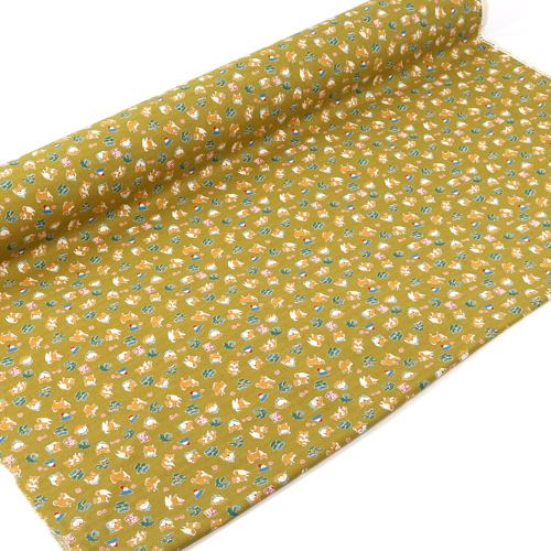 Mameshiba Journ�e D’Excursion Bonsa� Arbre Mont Fuji 3