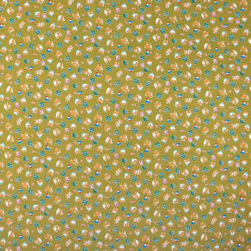 Mameshiba Journ�e D’Excursion Bonsa� Arbre Mont Fuji 4