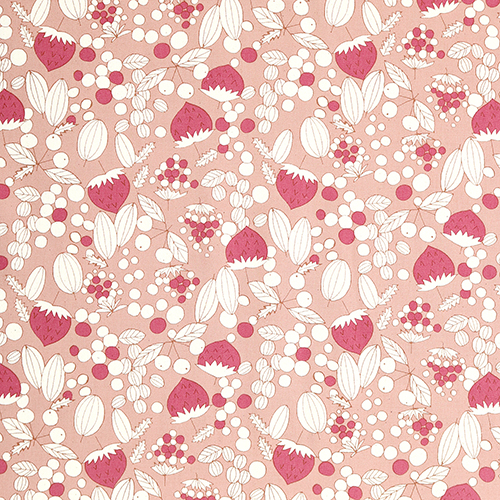 Illustration De Style Scandi De Baies Tumbling