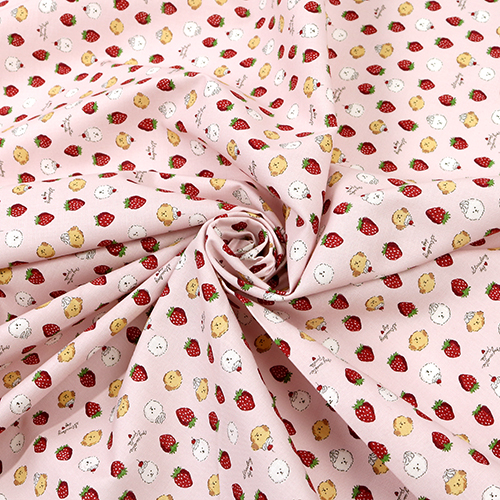Chibi Bichon Dogs Cream Strawberry 2