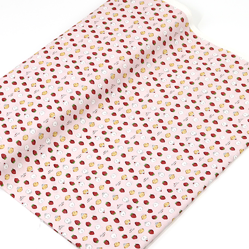 Chibi Bichon Dogs Cream Strawberry 3