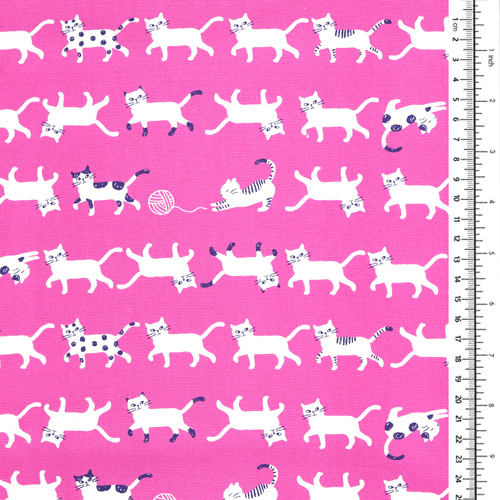 Gatos blancos caminando Simply Pallet 1
