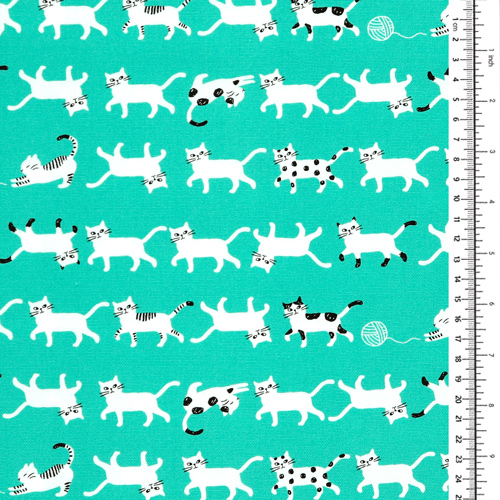 Gatos blancos caminando Simply Pallet 1