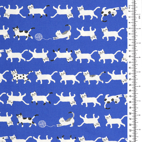 Chats blancs marchant Simply Pallet 1