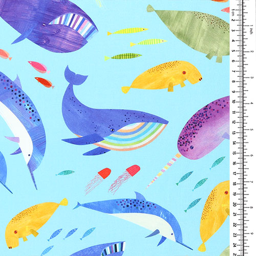 Amigos Del Mar Ballenas Acuáticas Coloridas 1