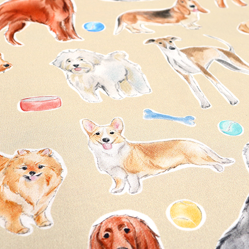 Temps De Jeu Pour Chien Reste Positif 5