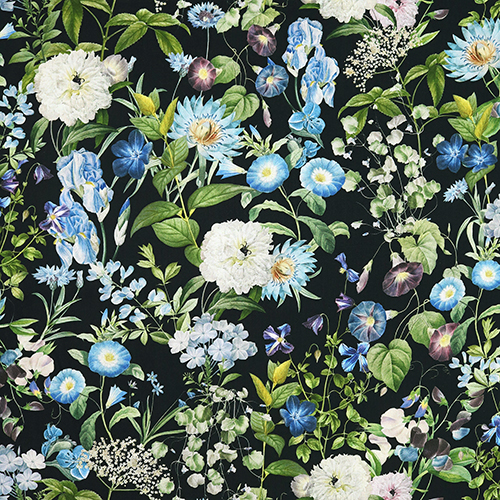 Schöne Blüten Botanischer Garten