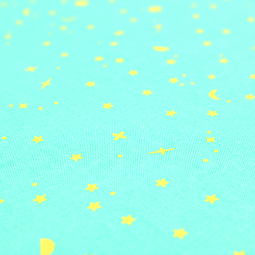 Aqua Sea Glass - Tula Pink Space Sprinkles Full Moon Forest ii 5