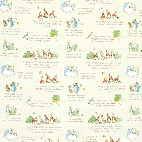 The Tale Of Peter Rabbit Livre D'Histoire Texte