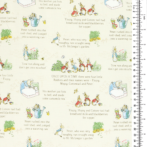 The Tale Of Peter Rabbit Livre D'Histoire Texte 1