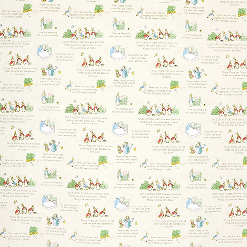 The Tale Of Peter Rabbit Livre D'Histoire Texte 5