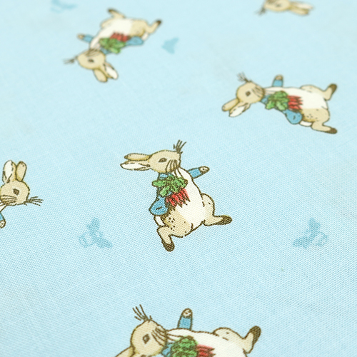 The Tale Of Peter Rabbit Lancer De Lapin 4